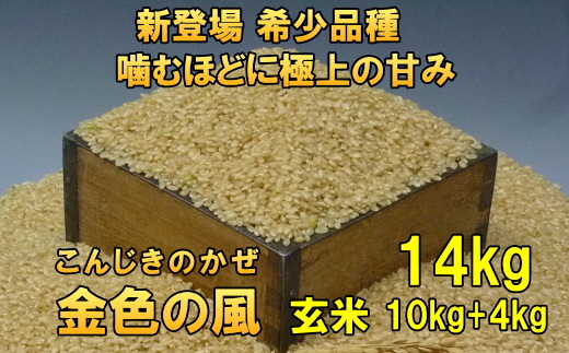 【令和7年産】【玄米14kg】新米 新登場の高級米 岩手県奥州市産 金色の風  玄米14kg（10kg＋4kg） [AC032]