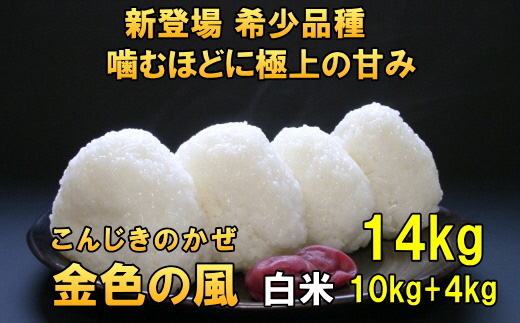 【令和7年産】【白米14kg】新米 新登場の高級米 岩手県奥州市産 金色の風 白米14kg（10kg＋4kg）[AC032]