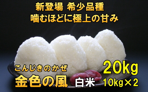 【令和7年産】【白米20kg】新米 新登場の高級米 岩手県奥州市産 金色の風 白米20キロ [AC034]