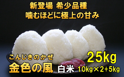 【令和7年産】【白米25kg】新米 新登場の高級米 岩手県奥州市産 金色の風  白米25キロ [AC035]