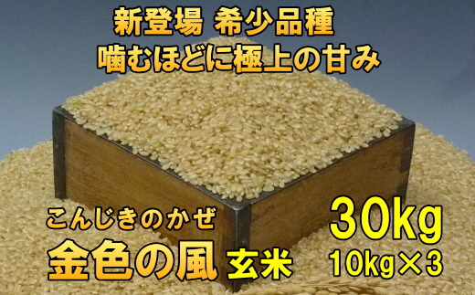 【令和7年産】【玄米30kg】新米 新登場の高級米 岩手県奥州市産 金色の風 令和7年産 玄米30キロ [AC036]