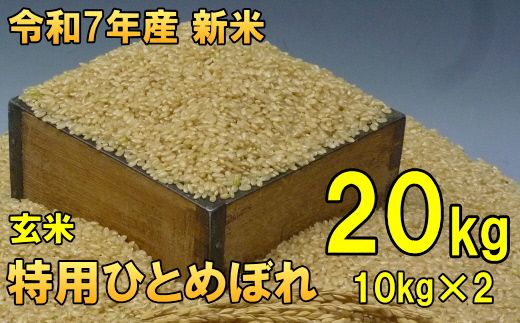 数量限定 令和7年産 岩手県奥州市産 特用ひとめぼれ 玄米 20kg [AC039]