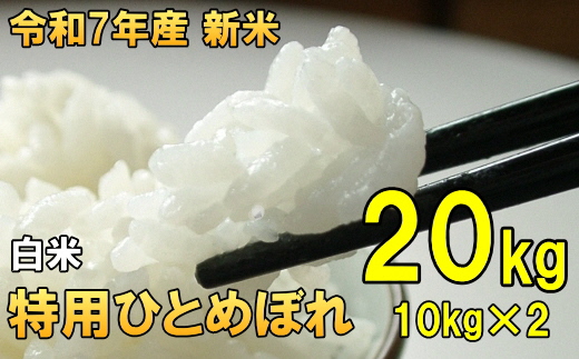 数量限定 令和7年産 岩手県奥州市産 特用ひとめぼれ 白米 20kg [AC039]