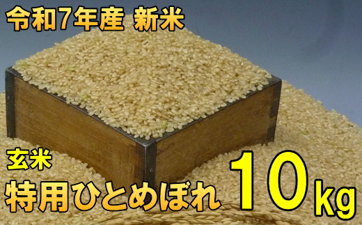 数量限定 令和7年産 岩手県奥州市産 特用ひとめぼれ 玄米 10kg [AC040]