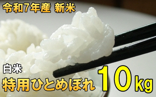  数量限定 令和7年産 岩手県奥州市産 特用ひとめぼれ 白米 10kg [AC040]