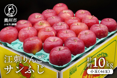 江刺りんご サンふじ 小玉 10kg（46玉）【令和8年1月お届け】 [AQ028]
