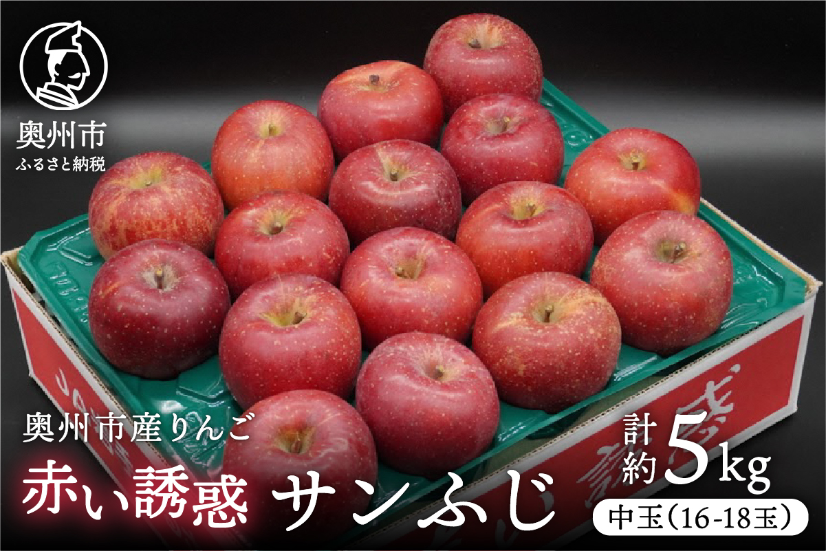 奥州市産りんご 赤い誘惑「サンふじ」 中玉約5kg　16-18玉 [AQ077]