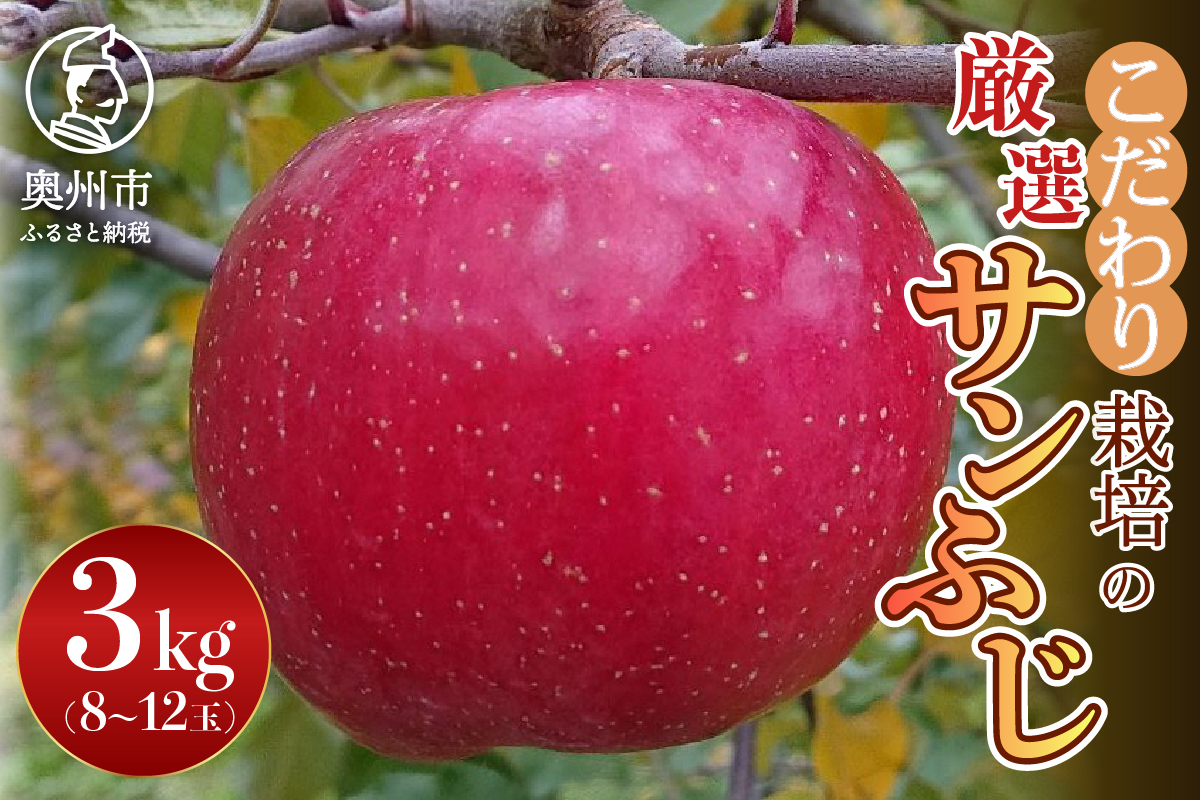 【スターファーム】 こだわり栽培の サンふじ 厳選品 3kg 岩手県奥州市産りんご 産地直送 [AY004]