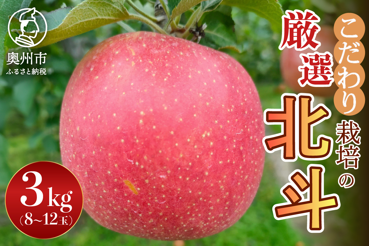 【スターファーム】 こだわり栽培の 北斗 厳選品 約3kg 岩手県奥州市産りんご 産地直送 冷蔵 [AY007]