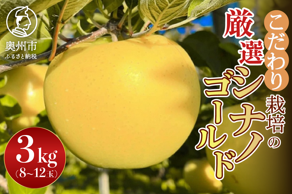 【スターファーム】 こだわり栽培の シナノゴールド 厳選品 約3kg 岩手県奥州市産りんご 産地直送 [AY008]