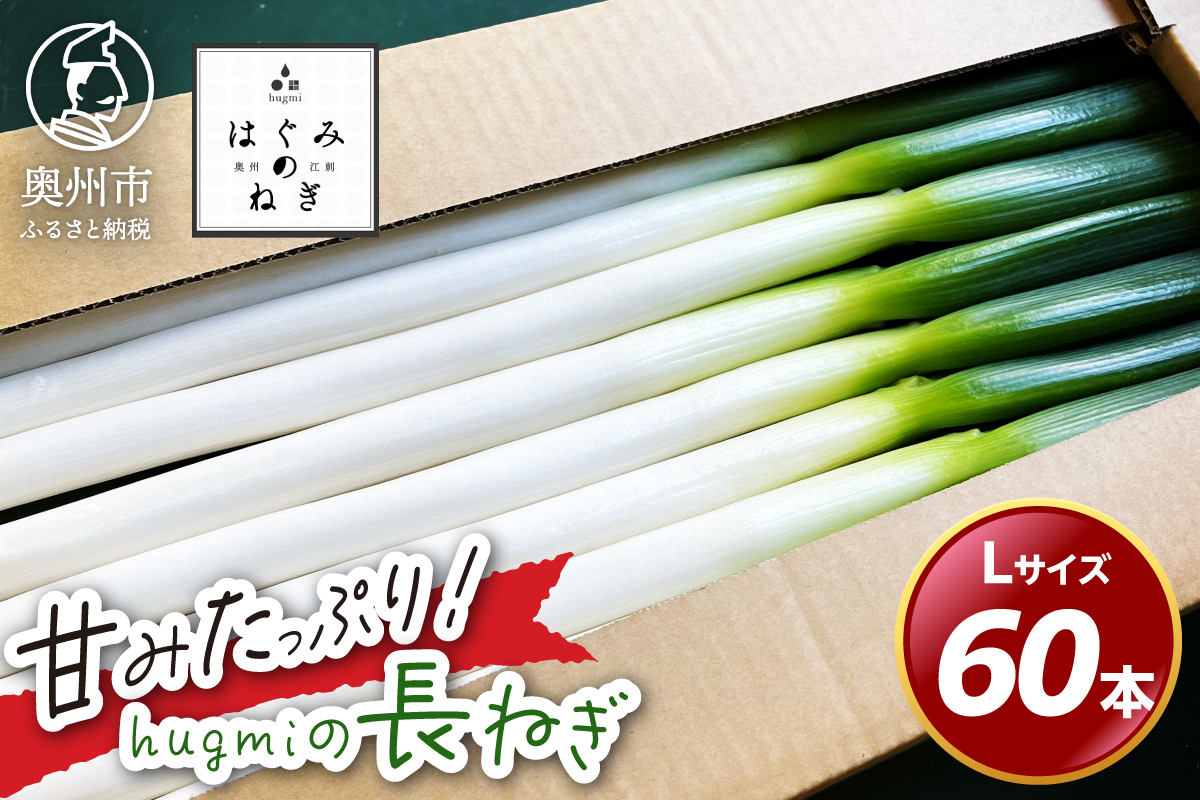 hugmiの長ねぎ 6kg (3kg×2個) Lサイズ 離島配送不可 [BJ011]