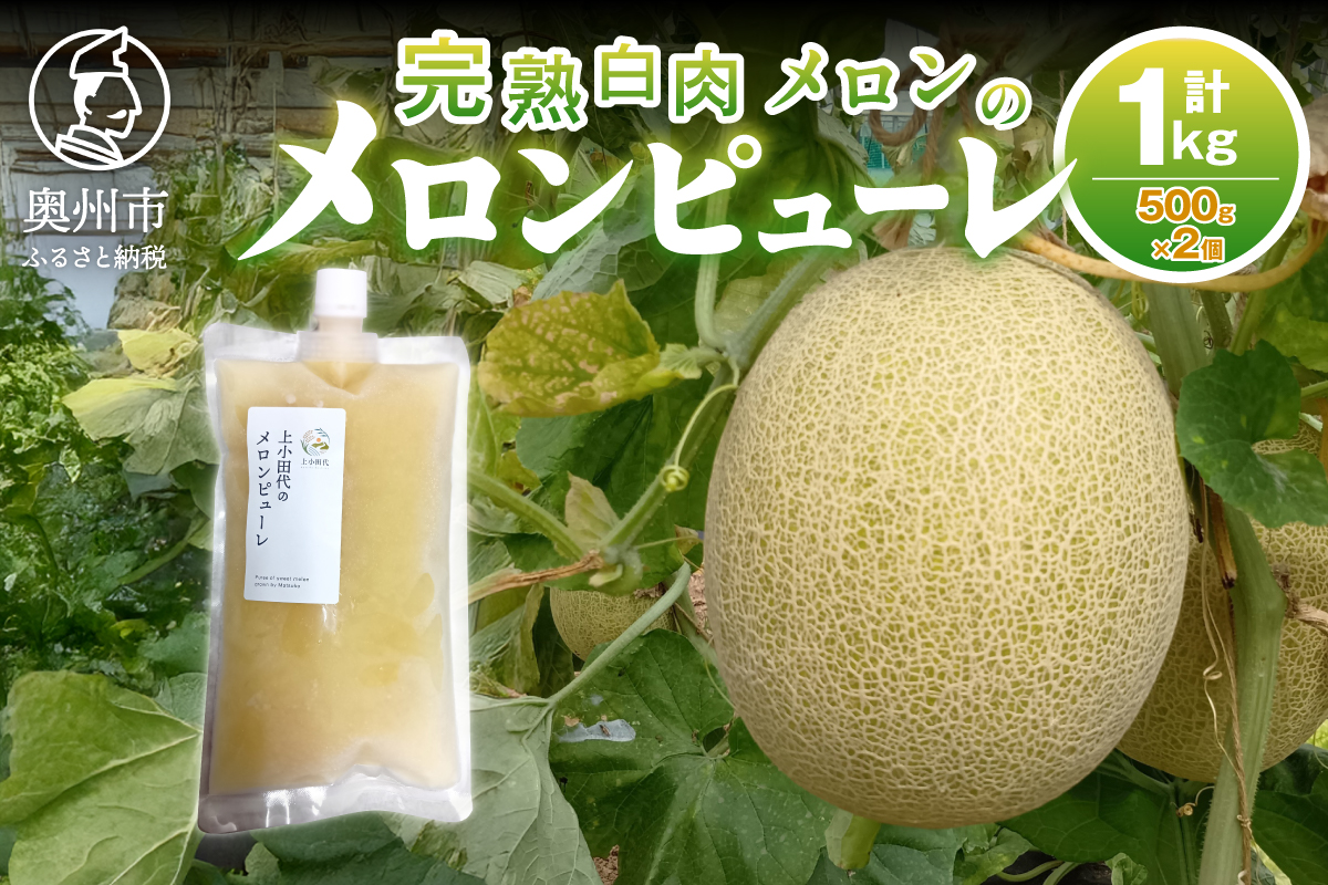 完熟白肉メロンでつくったメロンピューレ 500g×2個 [T0026]