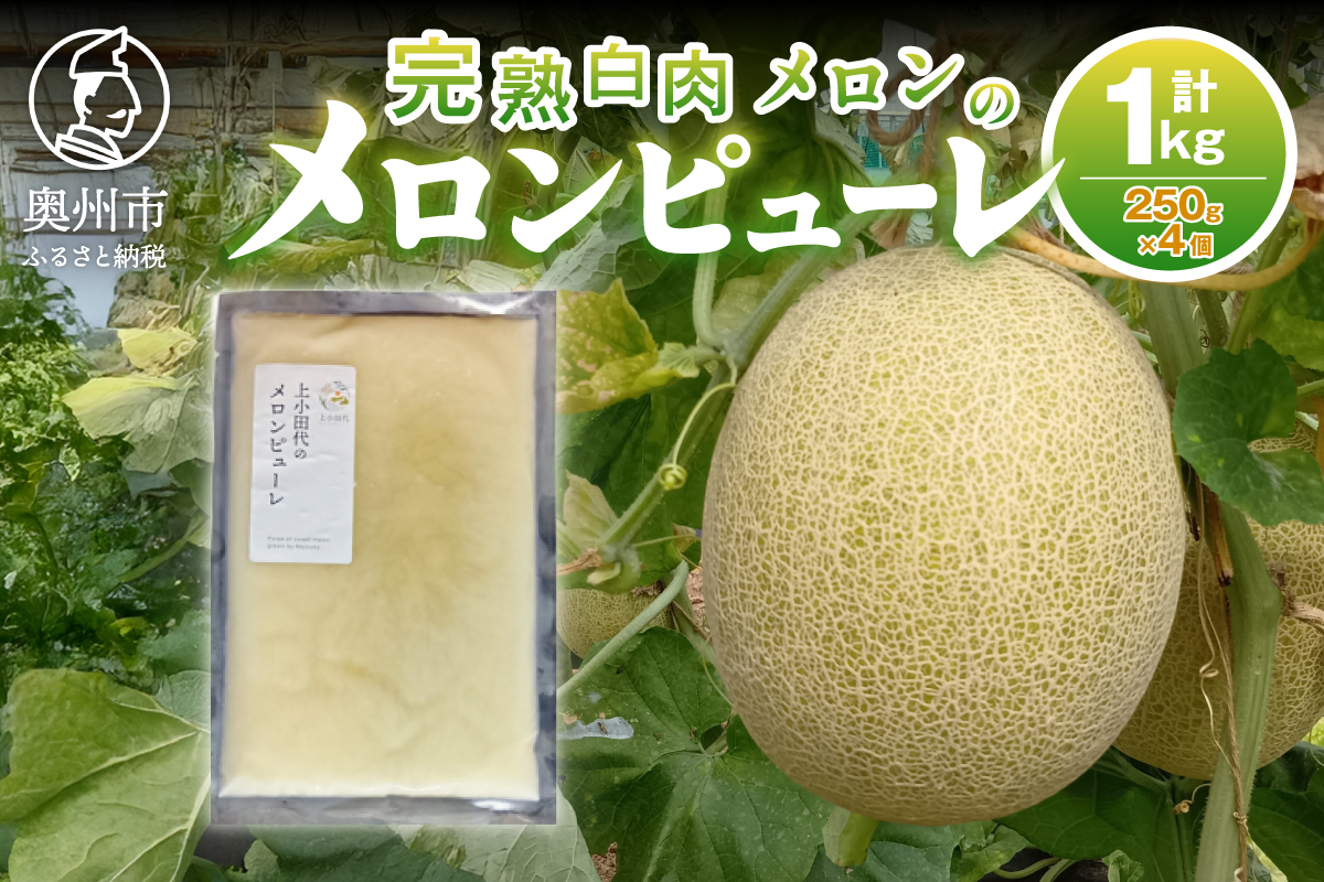 完熟白肉メロンでつくったメロンピューレ 250g×4個 [T0027]