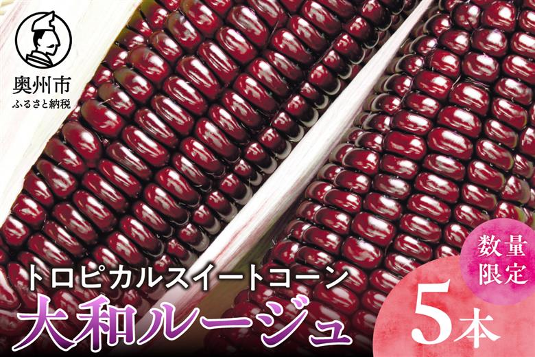 【先行予約】とうもろこし 大和ルージュ5本【数量限定】2026年9月上旬から出荷 離島配送不可 [T0030]