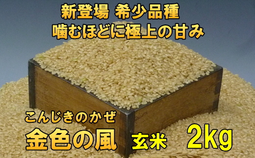 [12月5日より価格改定予定][令和6年産][玄米2kg]新登場の高級米 岩手県奥州市産 金色の風 玄米2キロ [AC025]