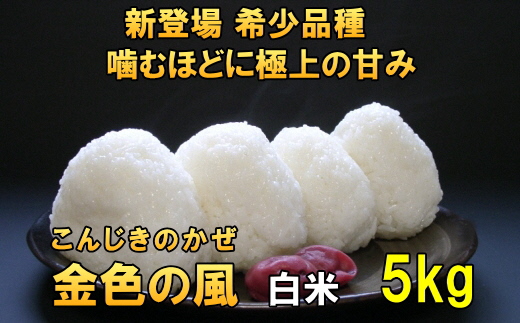 [12月5日より価格改定予定][令和6年産][白米5kg]新登場の高級米 岩手県奥州市産 金色の風 白米5キロ [AC027]