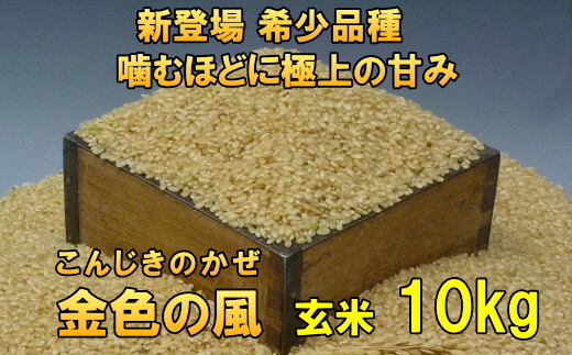 [12月5日より価格改定予定][令和6年産][玄米10kg]新登場の高級米 岩手県奥州市産 金色の風 玄米10キロ [AC030]