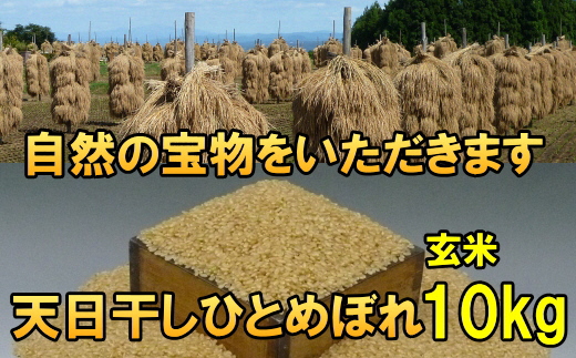 [12月5日より価格改定予定][令和6年産][玄米10kg]天日干しひとめぼれ 玄米10キロ[7日以内発送] [AC049]