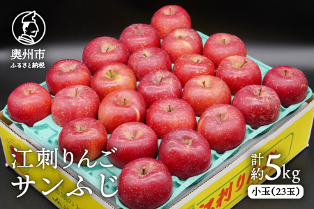 江刺りんご サンふじ 小玉 5kg(23玉)[令和8年1月お届け] [AQ027]