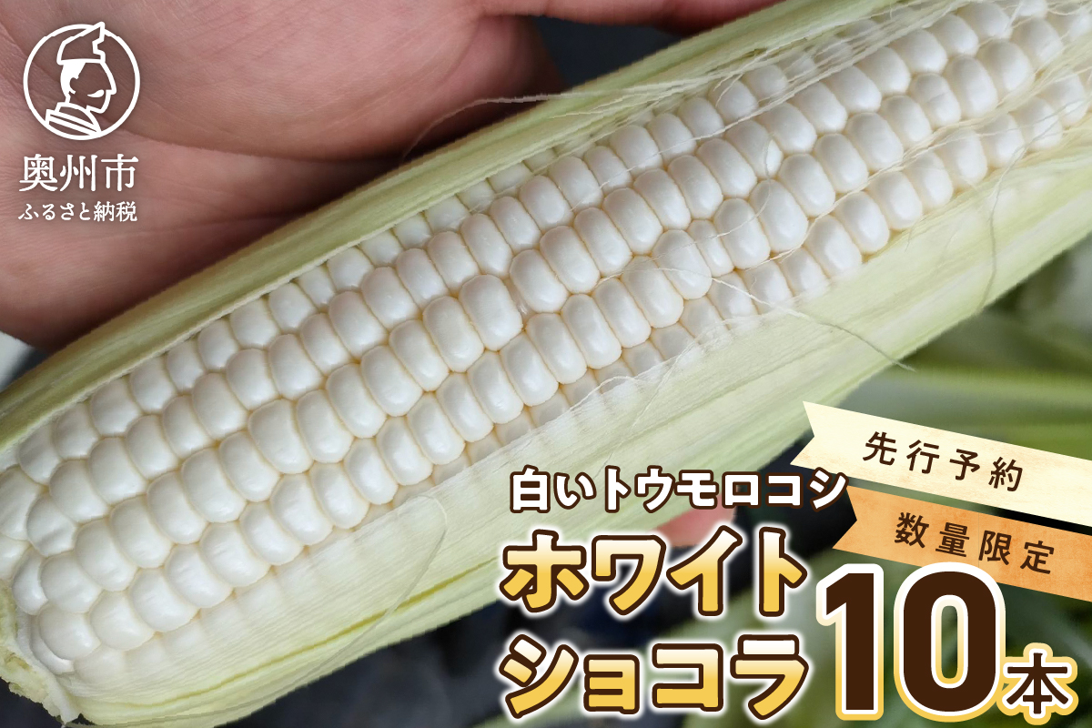 [先行予約]白いとうもろこし ホワイトショコラ 10本[数量限定]2025年6月下旬から出荷 離島配送不可 [T0012]