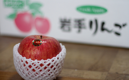 フルーツ大国！ 岩手県産 贈答用 りんご サンふじ 5kg 【谷地農園】 林檎 リンゴ アップル さんふじ サンフジ 果物 くだもの フルーツ ギフト プチギフト 贈り物 贈答 仕送り 冬 旬 新鮮 季節 国産 5キロ セット 詰め合わせ 詰合せ 詰め合せ 詰合わせ 人気 おすすめ