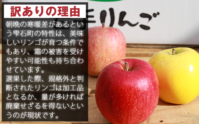 フルーツ大国！ 岩手県産 訳あり りんご 食べ比べ 5kg 2種類以上 【谷地農園】 林檎 リンゴ アップル 訳アリ わけあり ワケアリ 果物 くだもの フルーツ 仕送り 家庭用 自宅用 冬 旬 新鮮 季節 国産 5キロ セット 詰め合わせ 詰合せ 詰め合せ 詰合わせ 人気 おすすめ