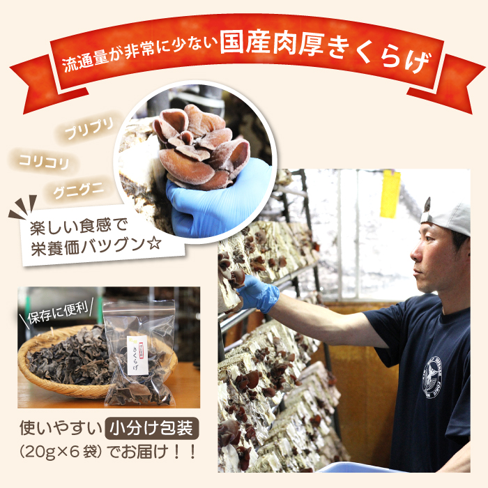 雫石町産 乾燥きくらげ 120g【Mashroom Bed House】/ きのこ 国産 保存 小分け