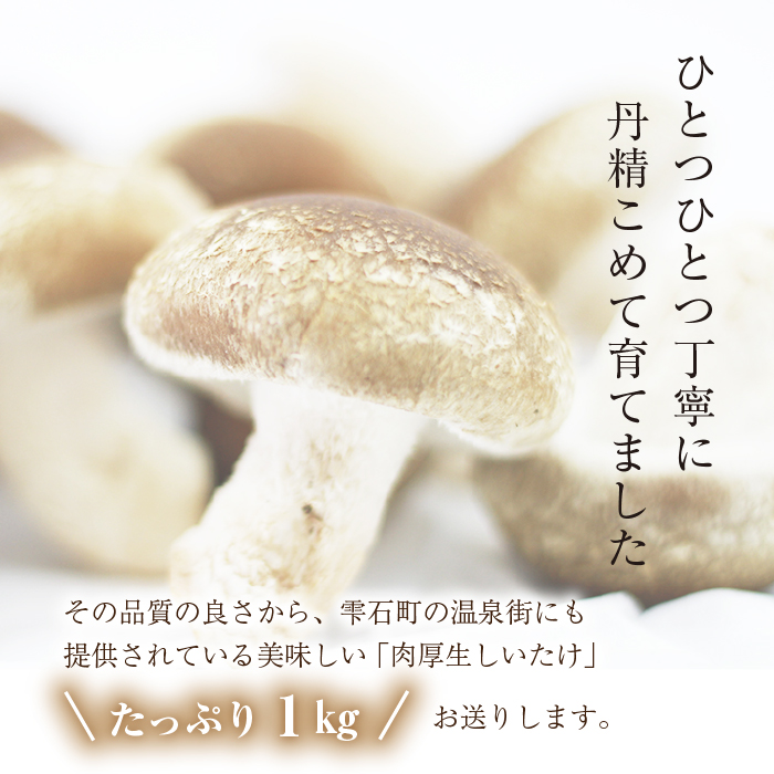 国産 岩手県産 肉厚 生しいたけ 1kg 【さくらだファーム】 椎茸 しいたけ シイタケ きのこ 茸 キノコ 野菜 やさい １ｋｇ 1キロ １キロ 出汁 だし ダシ 旨味 鍋 なべ 煮物 煮込み 七輪 焼き物 串焼き 素焼き ＢＢＱ BBQ 人気 おすすめ