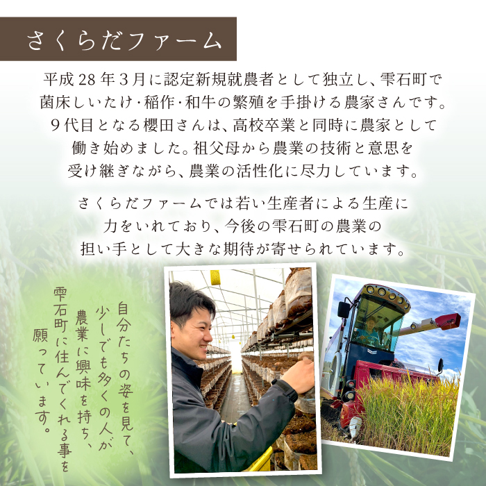 岩手県産 新米 あきたこまち 精米 10kg 1袋 【さくらだファーム】 米 こめ コメ 白米 ごはん ご飯 ライス 国産 産地直送 農家直送 数量限定 期間限定 おにぎり 弁当 おすすめ 人気 10キロ １０ｋｇ １０キロ 単一原料米 仕送り 岩手県 雫石町