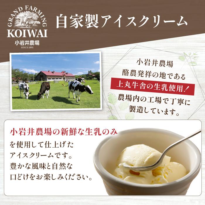小岩井農場 アイスクリーム 10個 セット ／ 人気 スイーツ デザート アイス カスタード バニラ 牛乳 りんご 林檎 リンゴ ヨーグルト 4種類 食べ比べ お菓子 個包装 小分け お取り寄せ ギフト プチギフト 贈り物 プレゼント お祝い パーティー お土産 手土産 誕生日 記念日 冷凍 おすすめ