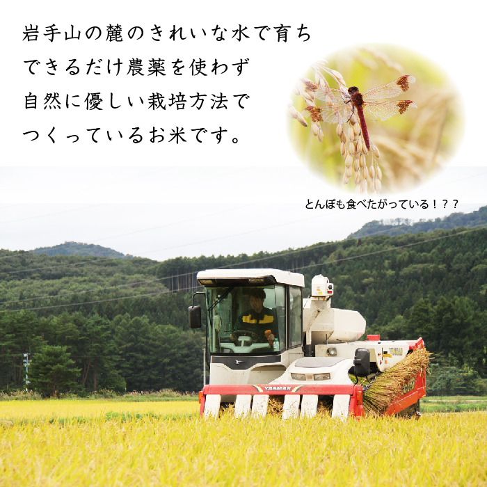 岩手県産 ひとめぼれ 玄米 5kg 4袋 総量 20kg 【わかふじ農産】 米 お米 こめ コメ ライス ご飯 ごはん ふっくら つやつや おいしい 美味しい 贈り物 単一原料米 国産 特産品 仕送り お取り寄せ 産地直送 農家直送 数量限定 人気 おすすめ 5キロ 20キロ ５ｋｇ ２０ｋｇ