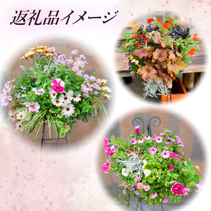 【 2026年 3月より発送開始】東北最大級のガーデニング専門店 厳選 『ハンギングバスケット』雅 壁掛けタイプ 8種類 ～ 10種類 【花工房らら倶楽部】 花 生花 フラワー 植物 観葉植物 バスケット 季節 インテリア ガーデニング 庭 玄関 ベランダ 国産 産地直送 期間限定 人気 おすすめ 予約 早期予約 先行予約