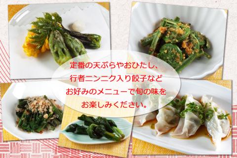 【 2026年 4月より順次発送】 春の 山菜 おまかせ セット 5～6種類 【産直 松の実】 人気 産直 採れたて 新鮮野菜 季節野菜 旬 旬野菜 春野菜 春の味覚 国産 産地直送 期間限定 数量限定 仕送り 詰合わせ お取り寄せ 野菜 おすすめ 予約 予約受付 早期予約