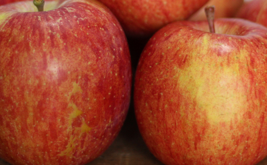 フルーツ大国！ 岩手県産 家庭用 りんご サンふじ 5kg 【谷地農園】 林檎 リンゴ アップル さんふじ サンフジ 果物 くだもの フルーツ 贈り物 仕送り 自宅用 冬 旬 新鮮 季節 国産 5キロ セット 詰め合わせ 詰合せ 詰め合せ 詰合わせ 人気 おすすめ