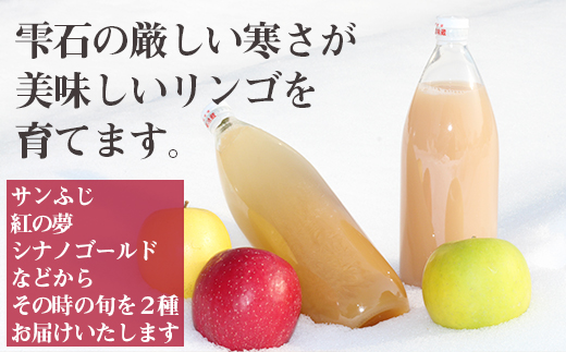 サンふじ & お任せ りんご ジュース 1000ml 各 1本 【谷地農園】 林檎 リンゴ アップル さんふじ サンフジ りんごジュース リンゴジュース 林檎ジュース 果物 くだもの フルーツ 贈り物 仕送り 自宅用 国産 果汁飲料 ストレートジュース 果汁100％ 濃縮還元ではない 人気 おすすめ
