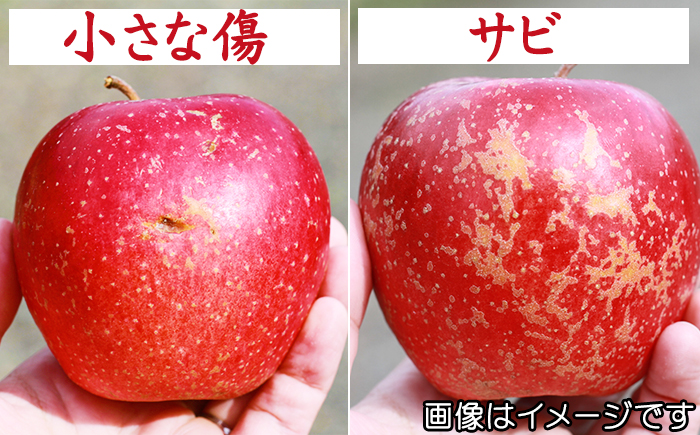 フルーツ大国！ 岩手県産 訳あり 家庭用 りんご サンふじ 小玉 5kg 【谷地農園】 林檎 リンゴ アップル 訳アリ わけあり ワケアリ さんふじ サンフジ 果物 くだもの フルーツ 贈り物 仕送り 自宅用 冬 旬 新鮮 季節 国産 5キロ セット 詰め合わせ 詰合せ 詰め合せ 詰合わせ 人気 おすすめ