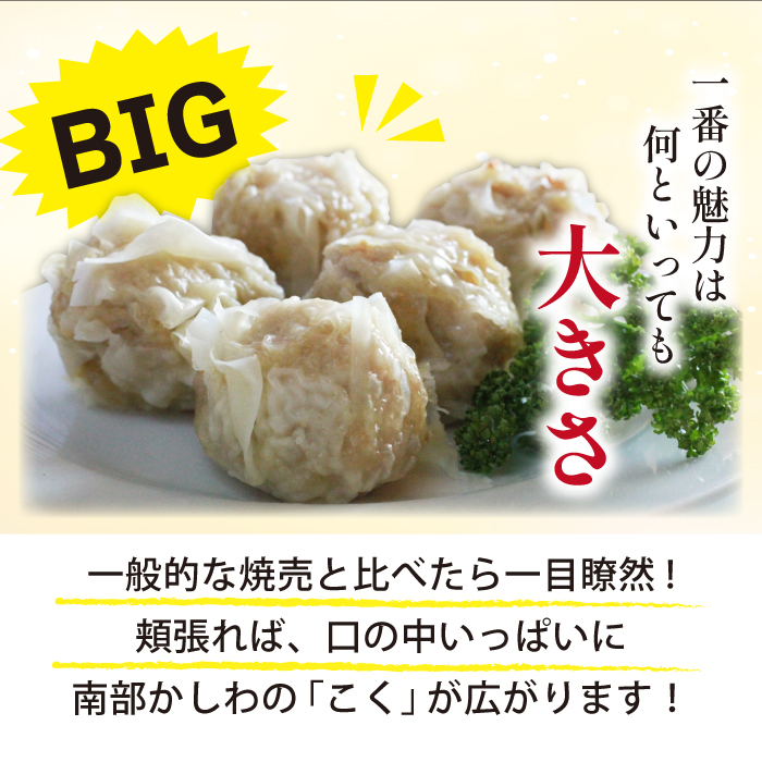 雫石地鶏 南部かしわ入り 焼売 20個セット ／ シューマイ 惣菜 冷凍発送 【九戸屋肉店】
