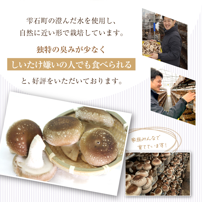 国産 岩手県産 肉厚 生しいたけ 1kg 【さくらだファーム】 椎茸 しいたけ シイタケ きのこ 茸 キノコ 野菜 やさい １ｋｇ 1キロ １キロ 出汁 だし ダシ 旨味 鍋 なべ 煮物 煮込み 七輪 焼き物 串焼き 素焼き ＢＢＱ BBQ 人気 おすすめ