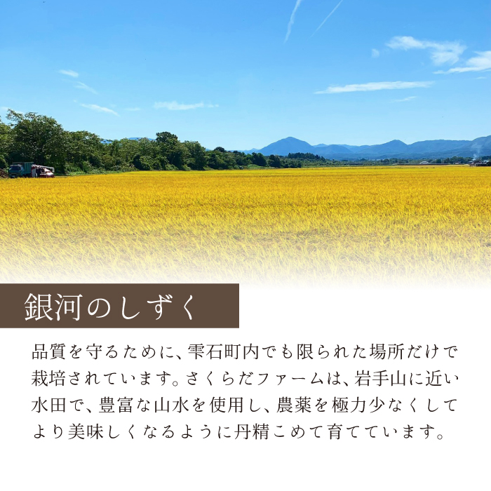 岩手県産 新米 銀河のしずく 精米 10kg 1袋 【さくらだファーム】 米 こめ コメ 白米 ごはん ご飯 ライス ブランド ブランド米 国産 産地直送 農家直送 数量限定 期間限定 おにぎり 弁当 おすすめ 人気 10キロ １０ｋｇ １０キロ 単一原料米 仕送り 岩手県 雫石町