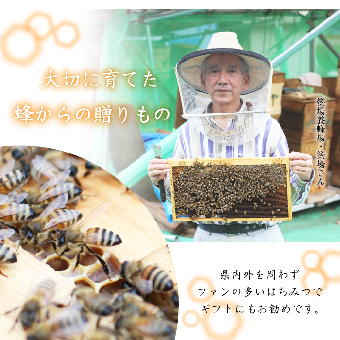 簗場養蜂場 非加熱 生はちみつ アカシア 500g 2本 ／ はちみつ 蜂蜜 ハチミツ 国産 【あねっこ】