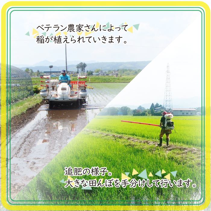 数量限定 岩手県産 あきたこまち 玄米 10kg 6ヶ月 定期便 【ユニティファーム】 米 こめ コメ スーパーフード ヘルシー ごはん ご飯 ライス 国産 産地直送 農家直送 期間限定 おにぎり 弁当 おすすめ 人気 10キロ １０ｋｇ １０キロ 単一原料米 仕送り 6カ月 6か月 6ヵ月 6か月