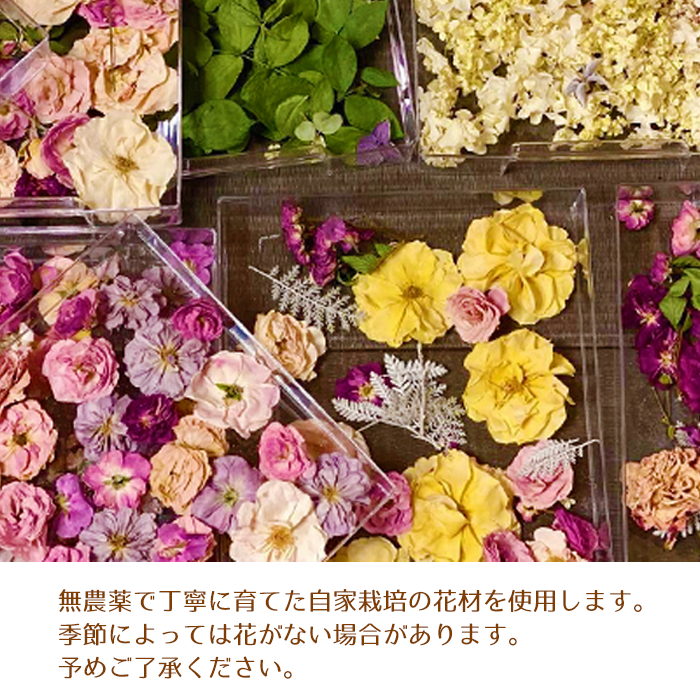 自家製花を使ったジェルキャンドル作り体験（1人分）【hanamiyuki】/ 体験型 体験型返礼品 体験チケット フラワーキャンドル