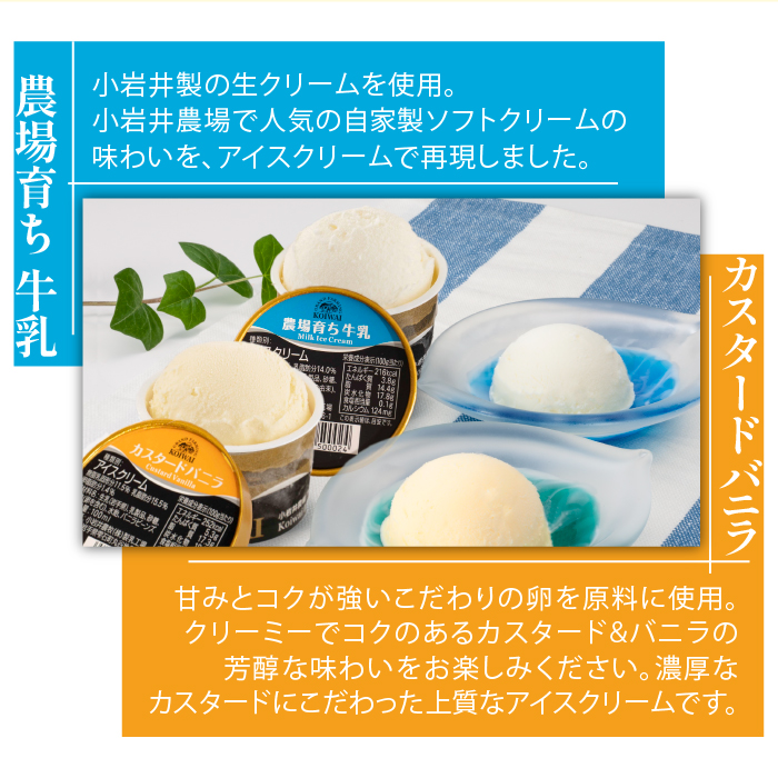小岩井農場 アイスクリーム 10個 セット ／ 人気 スイーツ デザート アイス カスタード バニラ 牛乳 りんご 林檎 リンゴ ヨーグルト 4種類 食べ比べ お菓子 個包装 小分け お取り寄せ ギフト プチギフト 贈り物 プレゼント お祝い パーティー お土産 手土産 誕生日 記念日 冷凍 おすすめ