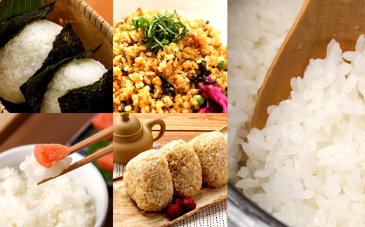 【2026年2月上旬より発送】 岩手県産 大粒厳選 ひとめぼれ 精米 10kg 【雫石八十八屋】 節減対象農薬：岩手県地域比 8割減 化学肥料（窒素成分）： 不使用 ／ 米 こめ コメ 白米 10キロ １０ｋｇ 産地直送 農家直送 数量限定 仕送り 人気 おすすめ