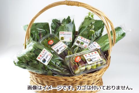 【 2026年 4月より順次発送】 春の 山菜 おまかせ セット 5～6種類 【産直 松の実】 人気 産直 採れたて 新鮮野菜 季節野菜 旬 旬野菜 春野菜 春の味覚 国産 産地直送 期間限定 数量限定 仕送り 詰合わせ お取り寄せ 野菜 おすすめ 予約 予約受付 早期予約