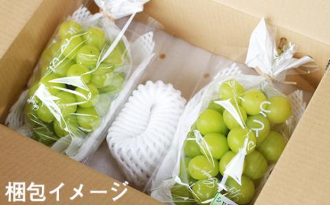 フルーツ大国！ 岩手県産 家庭用 訳あり シャインマスカット 2房 総量 800g 以上 【谷地農園】 ぶどう ブドウ 葡萄 マスカット 果物 くだもの フルーツ わけあり 訳アリ ワケアリ 自宅用 仕送り 冬 旬 季節 国産 セット 詰め合わせ 詰合せ 詰め合せ 詰合わせ 人気 おすすめ