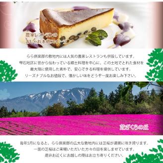 【 2026年 3月より発送開始】東北最大級のガーデニング専門店 厳選 『季節の寄せ植え』雅 8種類 ～ 10種類 【花工房らら倶楽部】 花 生花 フラワー 植物 観葉植物 寄せ植え 季節 鉢植え 鉢 ポット ガーデニング 庭 玄関 ベランダ 国産 産地直送 期間限定 人気 おすすめ 予約 早期予約 先行予約