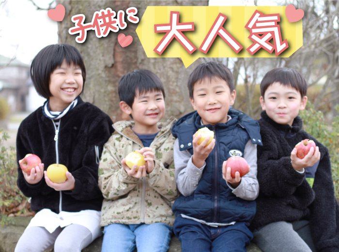 フルーツ大国！ 岩手県産 家庭用 りんご サンふじ 5kg 【谷地農園】 林檎 リンゴ アップル さんふじ サンフジ 果物 くだもの フルーツ 贈り物 仕送り 自宅用 冬 旬 新鮮 季節 国産 5キロ セット 詰め合わせ 詰合せ 詰め合せ 詰合わせ 人気 おすすめ