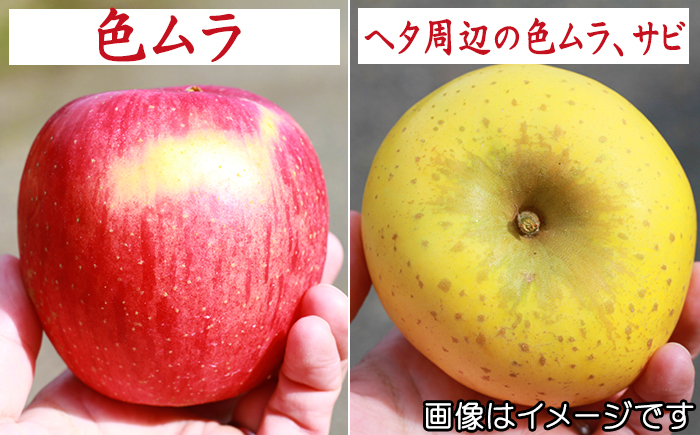 フルーツ大国！ 岩手県産 訳あり 家庭用 りんご サンふじ 小玉 5kg 【谷地農園】 林檎 リンゴ アップル 訳アリ わけあり ワケアリ さんふじ サンフジ 果物 くだもの フルーツ 贈り物 仕送り 自宅用 冬 旬 新鮮 季節 国産 5キロ セット 詰め合わせ 詰合せ 詰め合せ 詰合わせ 人気 おすすめ