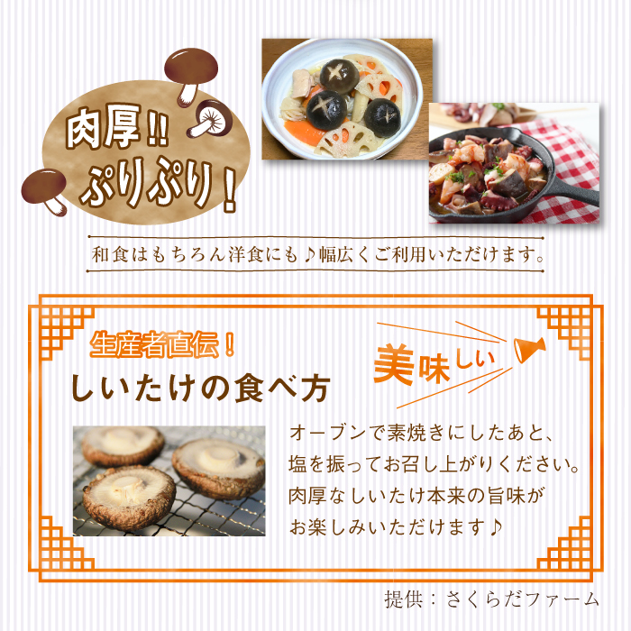 国産 岩手県産 肉厚 生しいたけ 1kg 【さくらだファーム】 椎茸 しいたけ シイタケ きのこ 茸 キノコ 野菜 やさい １ｋｇ 1キロ １キロ 出汁 だし ダシ 旨味 鍋 なべ 煮物 煮込み 七輪 焼き物 串焼き 素焼き ＢＢＱ BBQ 人気 おすすめ